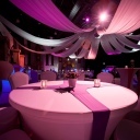 elco__trouwinterieur-6240